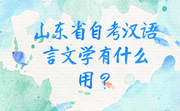 山东省自考汉语言文学有什么用?